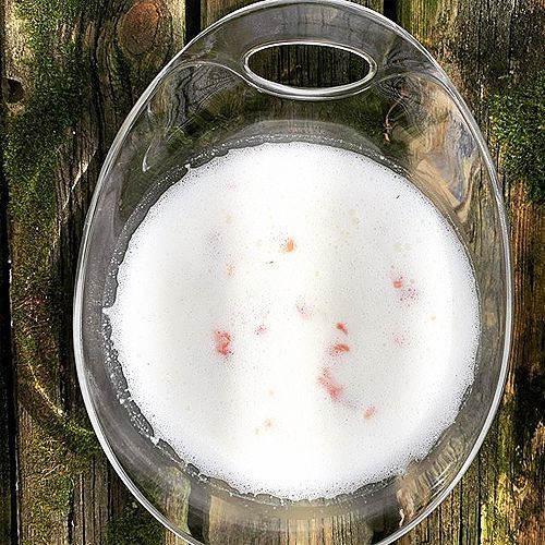 crema de melón con jamón